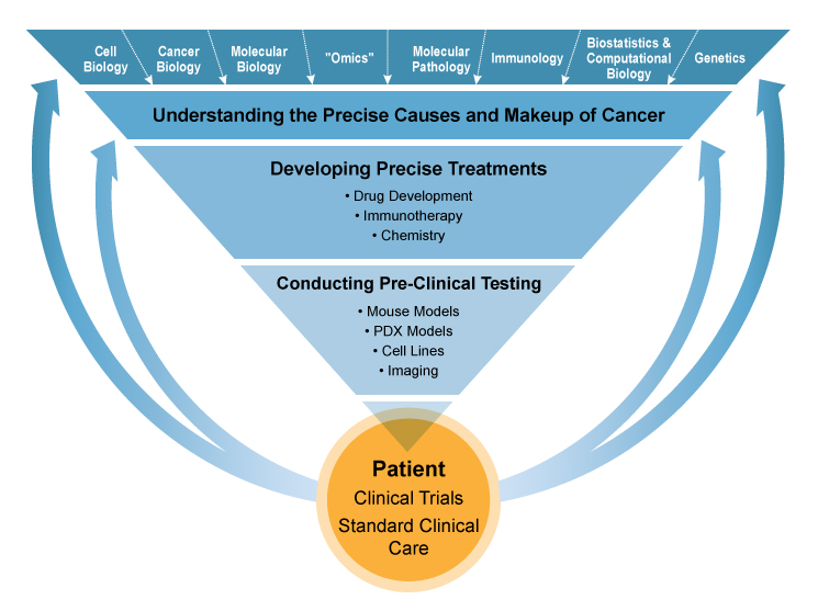 New_research-overview-diagram