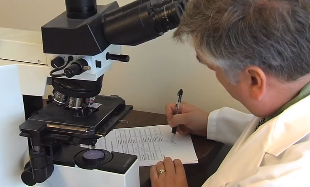 What is Precision Cancer Medicine?